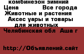 комбинезон зимний › Цена ­ 1 300 - Все города Животные и растения » Аксесcуары и товары для животных   . Челябинская обл.,Аша г.